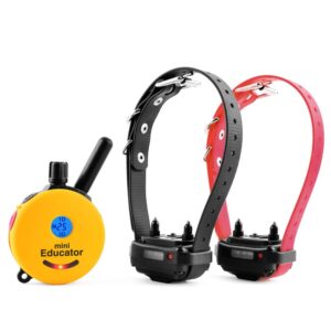 ET-302 2 DOG MINI EDUCATOR E-COLLAR 1/2 MILE REMOTE DOG TRAINER